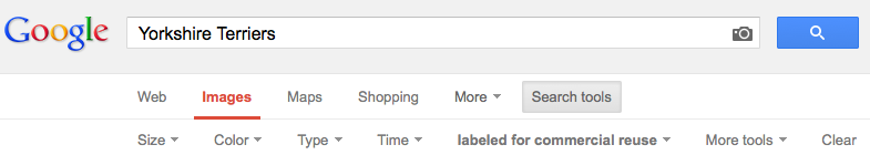 Avoid Costly Copyright Mistakes With Advanced Google Search For Images